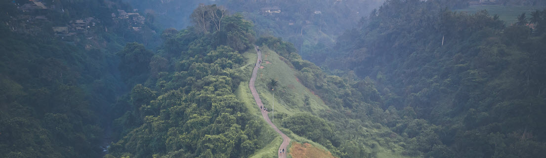 2021 Clean EDGE Asia Workshop: National Strategies for Clean Energy Transitions in South and Southeast Asia