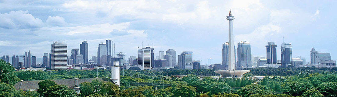 U.S.-Indonesia Cooperation: Meeting Energy and Sustainability Goals