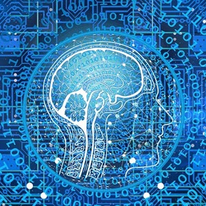 The Evolution of AI Governance and Regulation in the Indo-Pacific