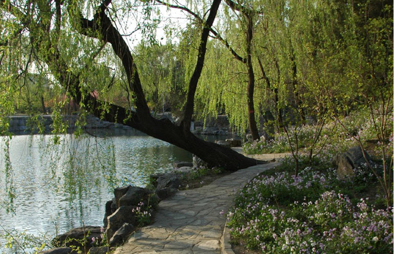 Tsinghua University campus