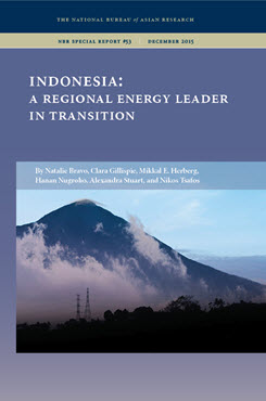Indonesia: The Nexus of Gas and Electricity