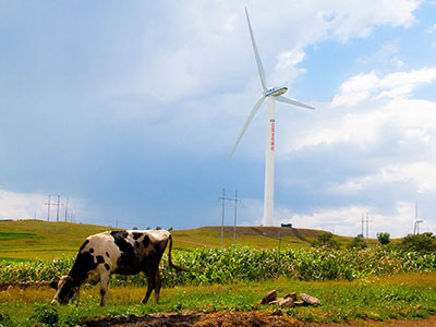 Harnessing the Wind in China