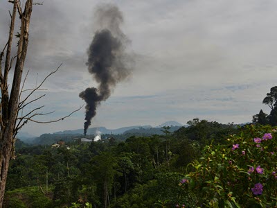 The Same Old Normal for Climate Action in Post-Pandemic Southeast Asia