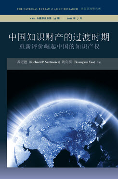 China’s IP Transition: Rethinking Intellectual Property Rights in a Rising China (Chinese translation)
