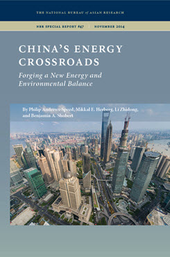 China’s Energy Policymaking Processes and Their Consequences