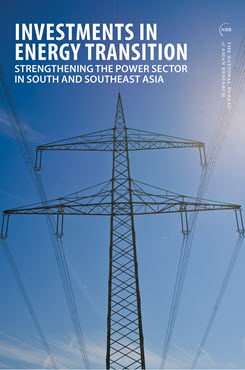 Investments in Energy Transition: Strengthening the Power Sector in South and Southeast Asia