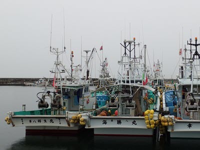 Coastal Resilience in Japan’s Forgotten Communities