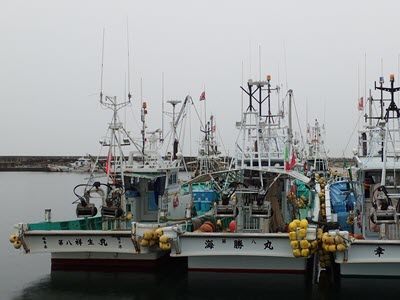 Coastal Resilience in Japan’s Forgotten Communities