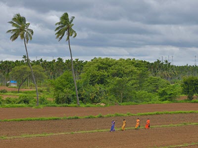 The Intersection of Climate Change and Gender Equality in South Asia