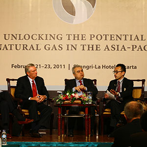 2011 Pacific Energy Summit Report