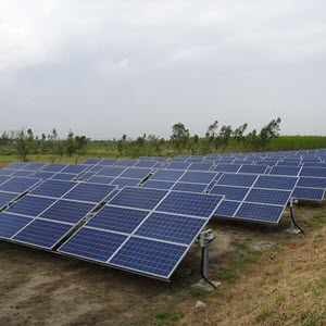 Green Grids: India’s Pathways and Asia’s Preparedness