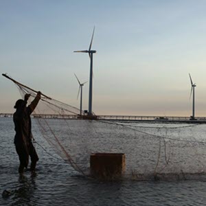 Vietnam’s Renewable Energy Policies  and Opportunities for the Private Sector